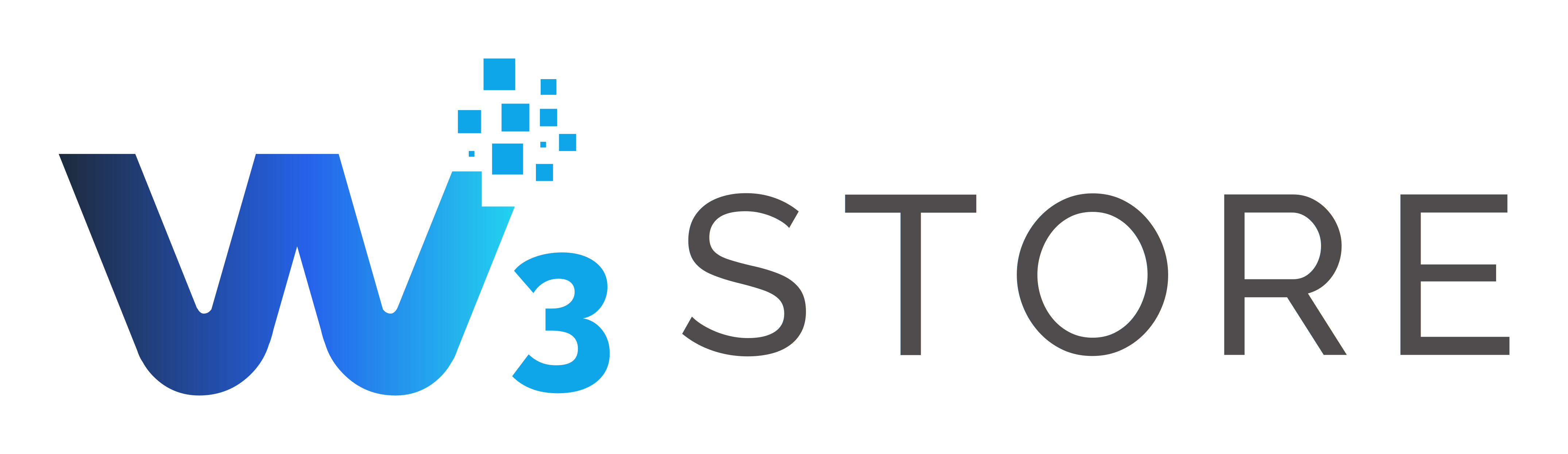 W3 Store